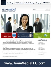 Team Media LLC Overview