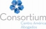 Consortium Centro America Abogados