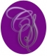 Safflyn Corporation