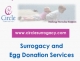 Circle Surrogacy, Ltd.
