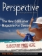 Perspective International Ltd