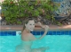 The Terra Cotta Inn Clothing Optional Resort and Spa