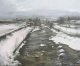 Cosmopolitan Fine Art