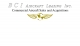 BCI Aircraft Leasing, Inc.