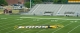 TigerTurf Americas