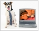 Jack Russell Software Company, LLC