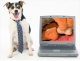Jack Russell Software Company, LLC
