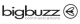 BigBuzz Internet Business Solutions