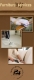 All Furniture Repair & Disassemble Services