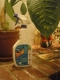 Earth Green Earth Blue Waters