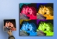 Photofiddle.com