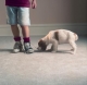 Method carpet & tile cleaning