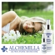 Alchemilla Ultra-Pure Skin Care