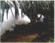 Curtis Dyna-Fog, Ltd.