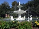 C. Savannah, LLC