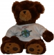 Bears on Patrol