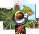 Innovance, LLC