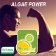 Source-Omega, LLC