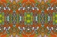 Inside The Kaleidoscope