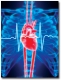 True Health