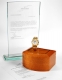 Antiquorum
