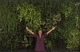 Trish O'Sullivan Design Group