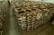 Windsor Wholesale Bait