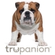Trupanion