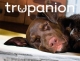 Trupanion