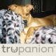 Trupanion
