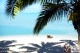 Pacific Resort Hotel Group - Cook Islands