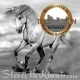 stevemckinnis.com