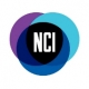 Nightlife Cultural Initiative