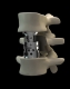 Eden Spine, LLC
