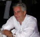 The Jeffrey Epstein Foundation