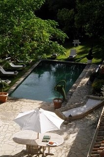 POOL AND TERRACE WITH DOLPHIN TOPIARY Image