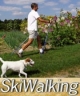 Nordic Ski Walking - Dogs Optional Image