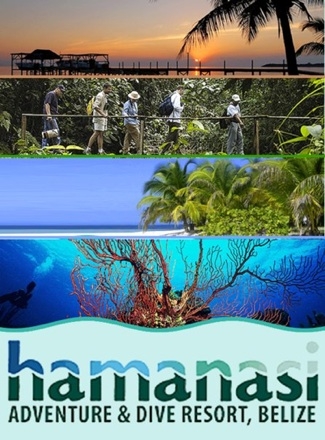 Hamanasi Poster Image