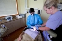 laser dentistry Bellevue Image