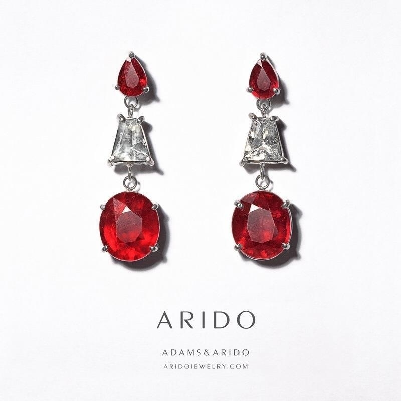 ARIDO 2013 Campaigns Image