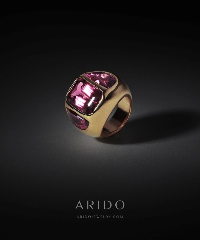 ARIDO 2013 Campaigns Image