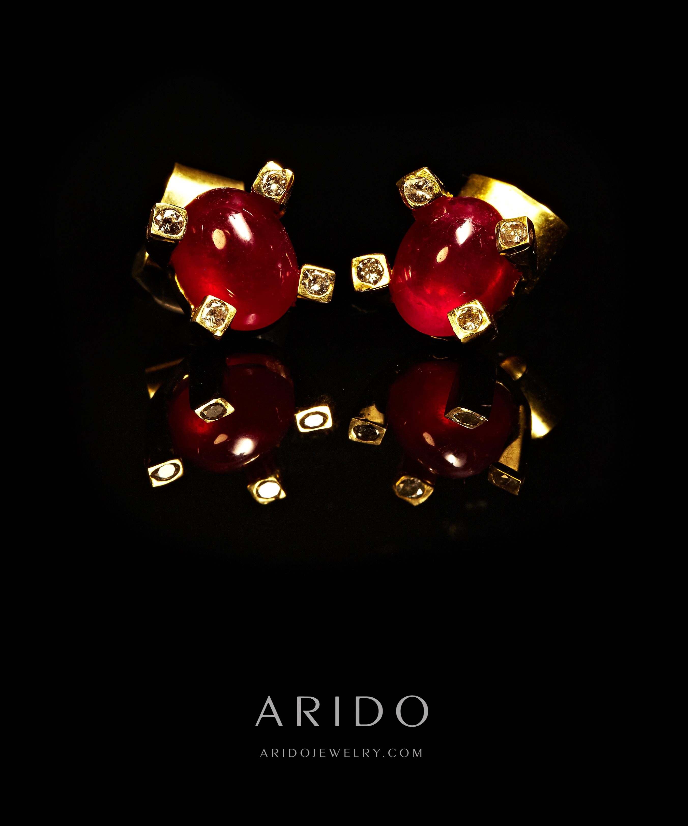 ARIDO 2014 Campaigns Image