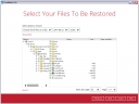 Select the files to restore (for file backup set only) Image