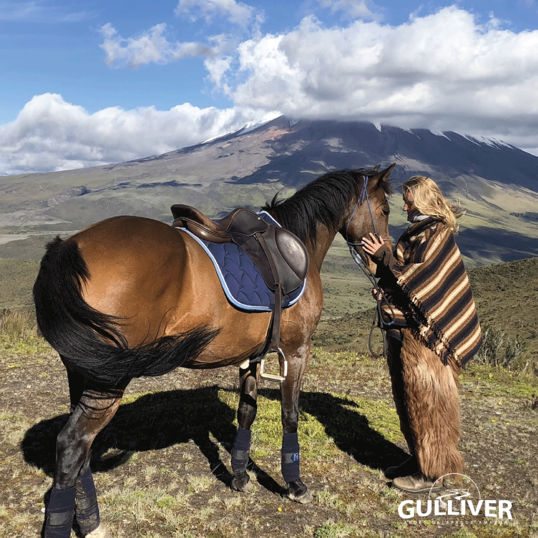 Horseback Riding Ecuador Image