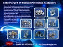 Specialty and Non-standard industrial fasteners Image