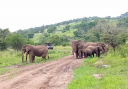 Rwanda safari Image