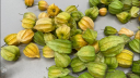 Goldenberry Farms offers high quality physalis, cape gooseberries, and goldenberries Image