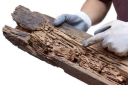 Termite Damage Image