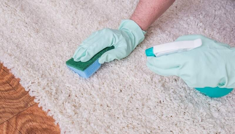DIY Carpet Cleaning Image