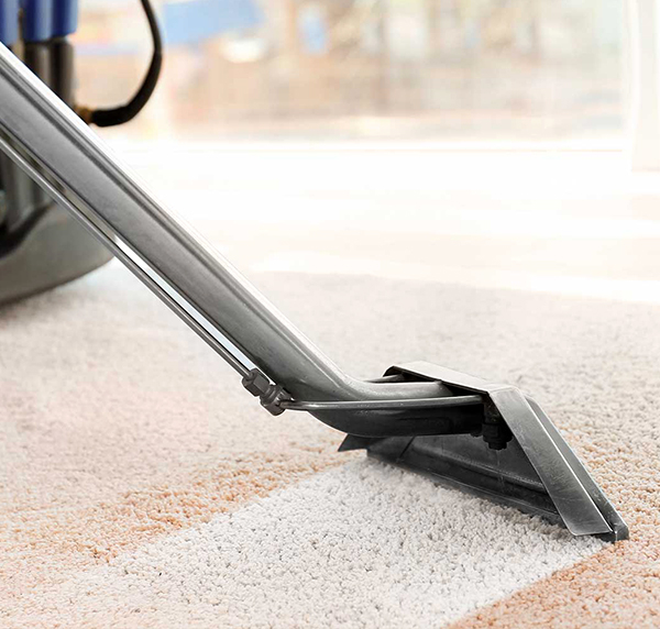 Dry Carpet Cleaning Image